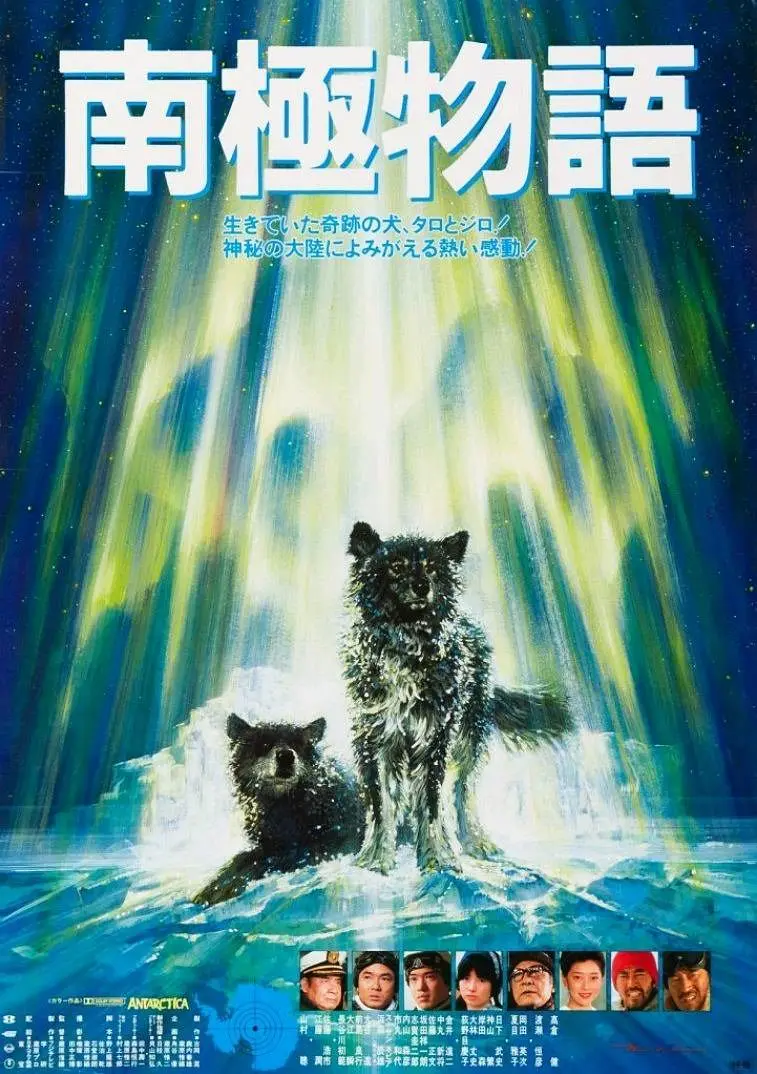 Featured image of post 《南极物语》(Antarctica)：极地荒原上的生命挽歌与人类罪咎