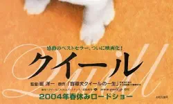 Featured image of post 《导盲犬小Q》(Quill)：生命互赠的克制与深情