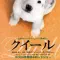 《导盲犬小Q》(Quill)：生命互赠的克制与深情