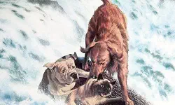 Featured image of post 《看狗在说话》(Homeward Bound: The Incredible Journey)：归途漫漫，爱是跨越荒野的唯一坐标