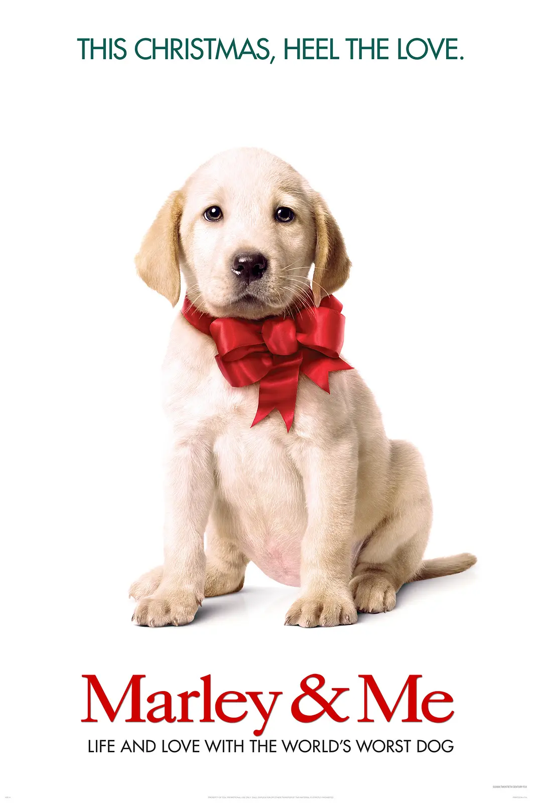 Featured image of post 《马利与我》(Marley & Me)：中产阶级生活的失控隐喻与无条件奉献的诗篇