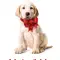 《马利与我》(Marley & Me)：中产阶级生活的失控隐喻与无条件奉献的诗篇
